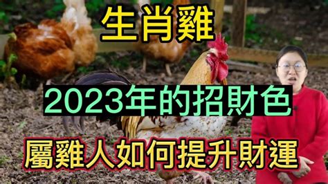 屬雞幸運物|【屬雞2023生肖運勢】犯太歲險阻多，感情幾經波。